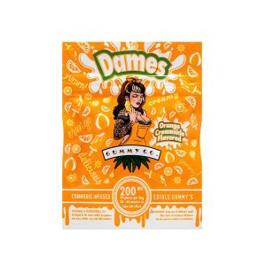 Dames Orange Creamsicle Bag