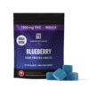 High Dose Blueberry Gummies